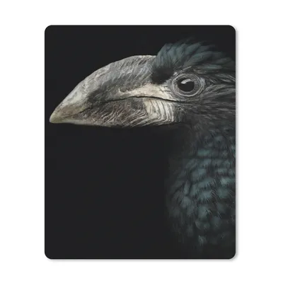 Produktbild von MuchoWow® Mauspad Mousepad Vogel - Porträt - Hornvogel - Schwarz - Tiere 30x40 cm - Mousepads - Maus Mat - Pad - Mausunterlage - Mausmatten