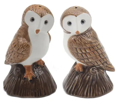 Productafbeelding van Lesser & Pavey zout- en peperstrooier set met uilenmotief, geschikt voor alle soorten