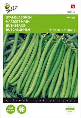 Produktbild von Buschbohne Kylian | Buschbohnensamen von Buzzy Seeds