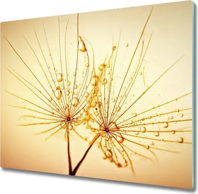 Produktbild von Glas Herdabdeckplatte 60x52 cm Spritzschutz Glasabdeckplatte Schneidebrett Pusteblume Samen