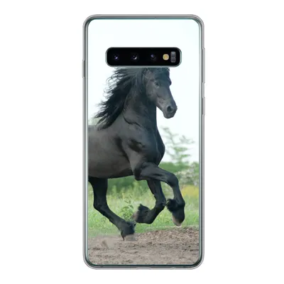 Produktbild von MuchoWow® Handyhülle Schutzhülle Hülle für Samsung Galaxy S10 Pferd - Schwarz - Natur Silikon Softcase Handy Hülle - Handytasche