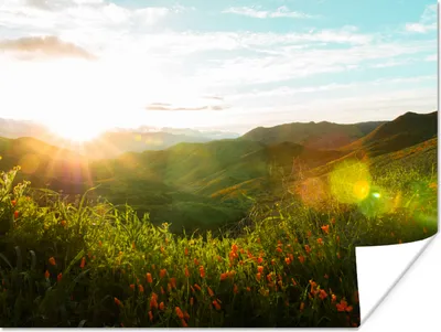 Produktbild von MuchoWow® Poster Hügel - Sonnenuntergang - Gras - Grün 160x120 cm - Foto Plakat