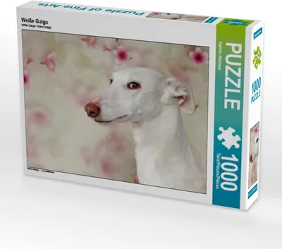 Produktbild von Calvendo Weiße Galga 1000 Teile Puzzle quer 640x480mm, Köntopp Kathrin; 7402049