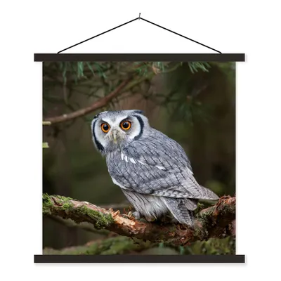 Produktbild von MuchoWow® Textilposter Eule - Vogel - Äste - Natur 120x120 cm mit schwarzem Rahmen - Aufhängungsset