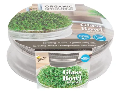 Produktbild von Keimsprossen Salatrauke mit Keimschale |  Keimsprossen von Buzzy Seeds