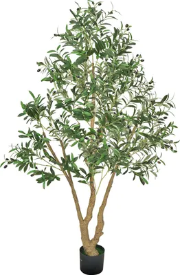 Immagine prodotto di SucceBuy Albero di ulivo artificiale, 1,8 m, con vaso nero, albero decorativo con vero tronco in legno e foglie e frutti verdi realistici, pianta artificiale per interni come casa, ufficio o soggiorno