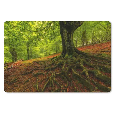 Produktbild von MuchoWow® Schreibtischunterlage Baum - Wald - Herbstblätter 60x40 cm - XXL Mauspad - Großes Mauspad