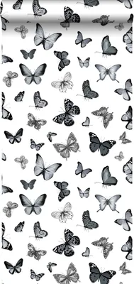 Obrázek produktu pro ESTAhome tapeta motýli černobílá - 138512 - 53 cm x 10,05 m