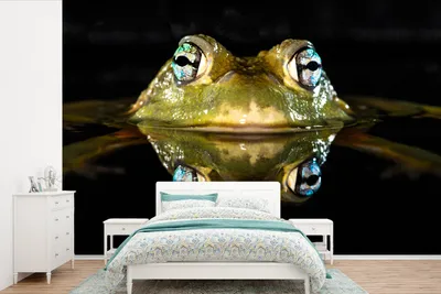 Produktbild von MuchoWow® Fototapete für Wohnzimmer oder Schlafzimmer Wandtapete Vinyl Motivtapete Frosch - Augen - Porträt - 390x260 cm - Papiertapete