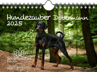 Produktbild von Hundezauber Dobermann DIN A5 Kalender für 2025 Welpen und Hunde - Seelenzauber