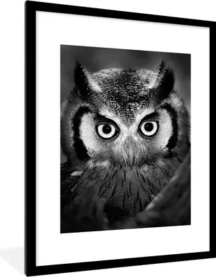 Produktbild von MuchoWow® Gerahmtes Poster Vogel - Eule - Porträt - Schwarz - Weiß 60x80 cm - Poster mit Schwarzem Bilderrahmen Wandposter Rahmen Foto Bilder - Wohnzimmer - Dekorationen - Prämie