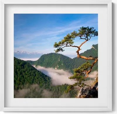 Produktbild von Sokolica-Gipfel im Pieniny-Gebirge– Wandbild mit Rahmen – Gerahmtes Bild  – Wanddekoration – 50x50 cm –  Weiß Rahmen