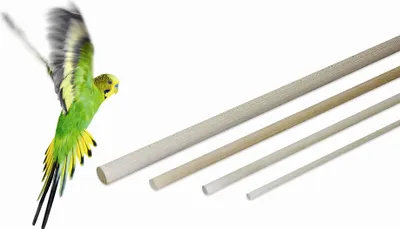 Produktbild von Elmato 10072 Sitzstab Sitzstange Holzstab Naturholz Ziervögel, ø 12 mm, 95 cm lang