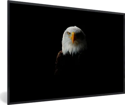 Produktbild von MuchoWow® MuchoWow® Gerahmtes Poster Adler - Vogel - Schwarz 30x20 cm - Poster mit zchwarzem Bilderrahmen - Kunstdruck - Bild-Poster