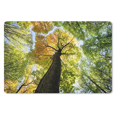 Produktbild von MuchoWow® Mauspad Mousepad Baum - Natur - Wald 27x18 cm - Mousepads - Maus Mat - Pad - Mausunterlage - Büroartikel - Desk Matten