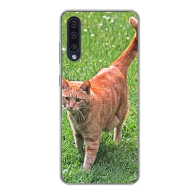 Produktbild von MuchoWow® Handyhülle Schutzhülle Hülle für Samsung Galaxy A50 Katze - Rot - Katze - Mädchen - Kinder - Jungen - Kind Silikon Softcase Handy Hülle - Mobiltelefonhülle