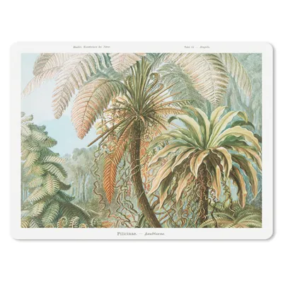 Produktbild von MuchoWow® Mauspad Mousepad Vintage - Alte Meister - Farne - Pflanzen - Natur 23x19 cm - Mousepads - Maus Mat - Pad - Mausunterlage - Schreibtischunterlage - Mauspad