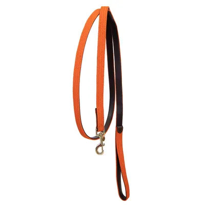 Produktbild von Kentucky Dogwear Leine Plaited Nylon Dog & Horse, Farbe:orange