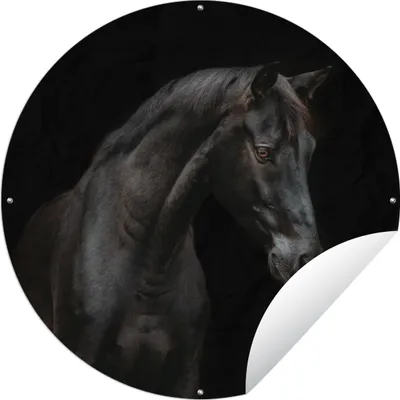 Produktbild von MuchoWow® Gartenposter Outdoor-Poster Rund Pferd - Tiere - Schwarz - Porträt Ø 90 cm Gartendeko Rundes Poster draußen