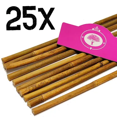 Zdjęcie produktu dla Zestaw 25 kijów bambusowych - ok. 70 cm - grubość 10/12 mm - kije Tonkin - bambus - podpora dla roślin