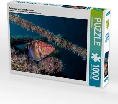 Produktbild von Calvendo Schriftbarsch im Mittelmeer 1000 Teile Puzzle quer 640x480mm, Gödecke Dieter; 7404211