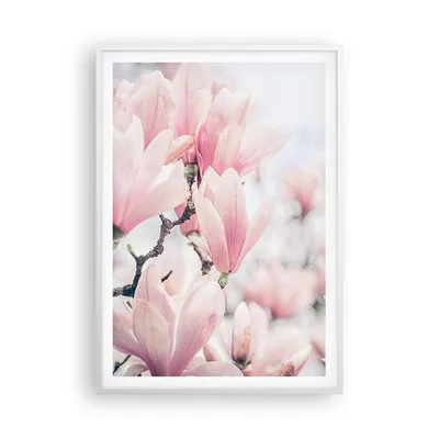 Produktbild von Gerahmtes Poster - Weißer Rahmen - Magnolie Blumen Rosa - 70x100 cm - Wand Bild - Wanddeko - Wandbilder - Kunstposter - Wandposter - Bilderrahmen - Bilder - Kunstdruck - P2WPA70x100-4396