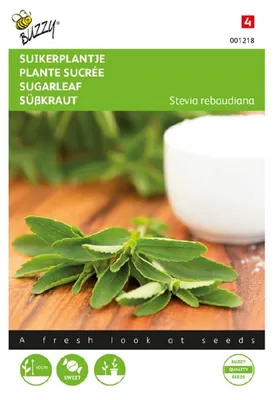 Produktbild von Buzzy Seeds Stevia, Süßkraut Kräutersamen - 1 Saatgutbeutel