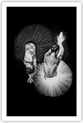 Produktbild von Poster - Poster ohne Rahmen - Ballerinas Ballett Tanz - 61x91,5 cm - Wand Bild - Wanddeko - Wandbilder - Kunstposter - Wandposter - Bilder - Kunstdruck - Wanddekoration - Wandbild - P2XPA61x91-5050