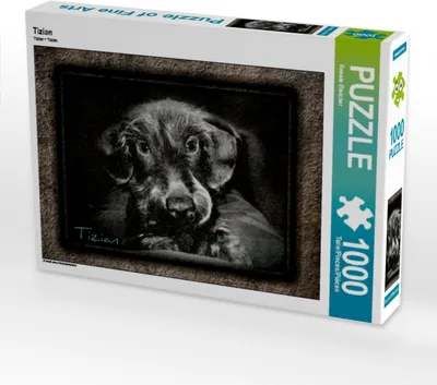 Produktbild von Calvendo Tizian 1000 Teile Puzzle quer 640x480mm, Bleicher Renate; 7284106