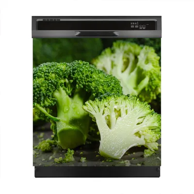 Produktbild von Magnete Dekorative 60x60 cm Küche Magnetmatte Spülmaschine - Gemüse Brokkoli