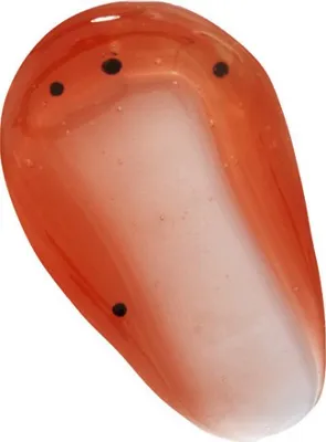 Image de Tasty Tropical (Huile pour les lèvres) 3.8 ml, Papaye