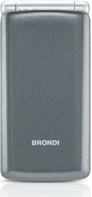 Obrázok produktu pre Brondi Amico Sincero, Flip, Dual SIM, 6,1 cm (2.4"), 1,3 MP, 800 mAh, Šedá