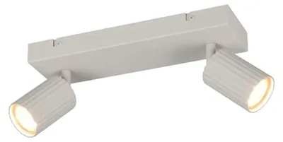 Obrázek produktu pro Stropní svítidlo, kov, šedé, 2 světla, otočné, D 30 cm
