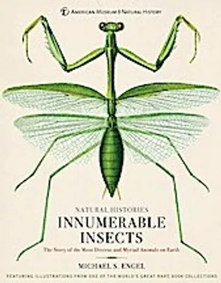 Image de Innumerable Insects
