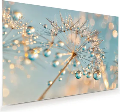 Produktbild von Glasbild 60x40cm in XXL für Wohnzimmer, Schlafzimmer Motiv Pusteblume Wassertropfen