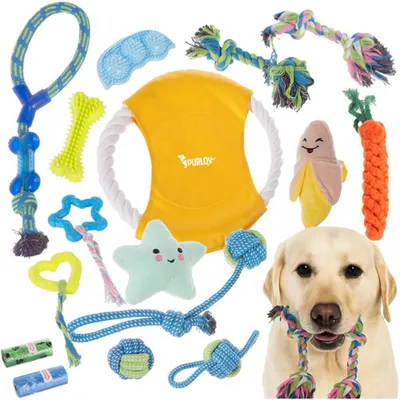 A collection of dog toys and a dog, presented in a collage style.
