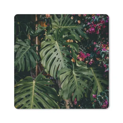 Produktbild von MuchoWow® Mauspad Mousepad Monstera (Lochpflanze) Hintergrund 20x20 cm - Mousepads - Maus Mat - Pad - Mausunterlage - Desk Mat - Bureauartikeln