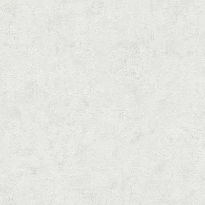 Produktbild von A.S. Creation | Beton Vol. 2 | 386394 | Vliestapete | Einfarbig | 10.05 x 0.53 m | Grau | Wohnzimmer | Flur | Büro | Küche | Wohnräume