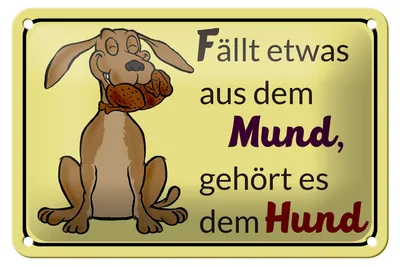 Produktbild von Blechschild Spruch 18x12cm fällt aus Mund gehört dem Hund