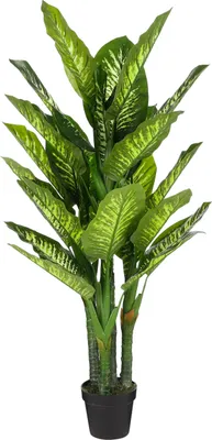 Produktbild von Mica Decorations Dieffenbachia Kunstpflanze - H150 x Ø70 cm