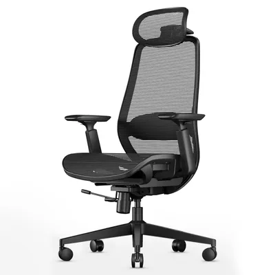 Ergonomischer Mesh-Bürostuhl mit 4D-Armlehnen, schwarz
