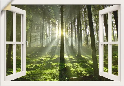 Produktbild von ARTland Wandbild, selbstklebend Fensterblick - Wald im Gegenlicht, weiß Größe: 70x50 cm