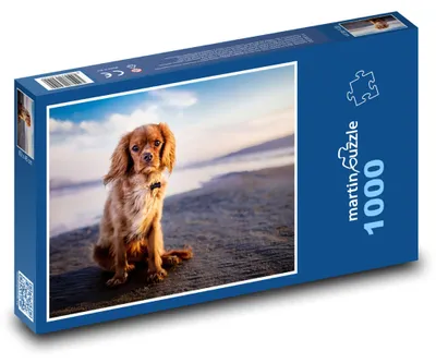 Zdjęcie produktu dla Puzzle 1000 Szczeniak na plaży o zachodzie słońca - martinpuzzle