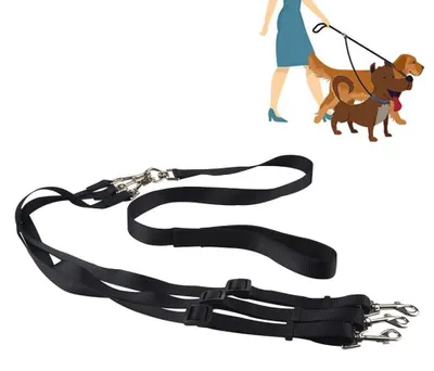Imagen del producto de Correa para perros 3 en 1, ideal para perros de tamaño mediano y pequeño