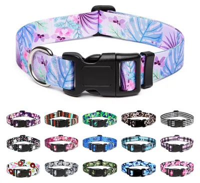 Produktbild von Halsband verstellbar, Nylon, Größe M, mit lila Blumenmuster, für Hunde