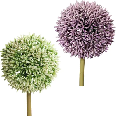 Produktbild von Lauchblüten Allium Kunstblumen künstlich Kunststoff 1 Stk Ø 11x67 cm - 2 Farben, 5_Farbe:Grün