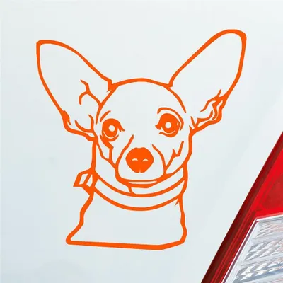 Produktbild von Auto Aufkleber Chihuahua Hund Dog Animal Tier Car 10x10 cm Orange Sticker Heckscheibenaufkleber