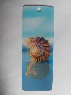 Produktbild von 3D Lesezeichen große Muschel, 15x5cm, Wackelbild Wackelkarte Buchzeichen Bookmark Bücher Am Meer