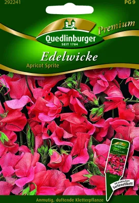 Produktbild von Edelwicken Apricot Sprite | Wickensamen von Quedlinburger