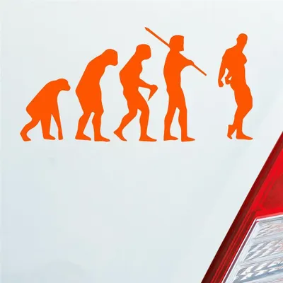 Produktbild von Auto Aufkleber Evolution Fitness Sport Bodybuilding 15x7,5 cm Orange Sticker Heckscheibenaufkleber